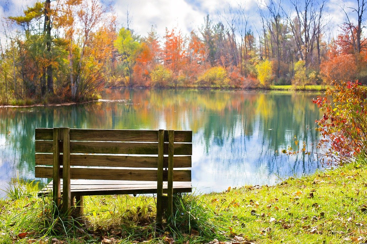 wood bench, pond, autumn-986347.jpg